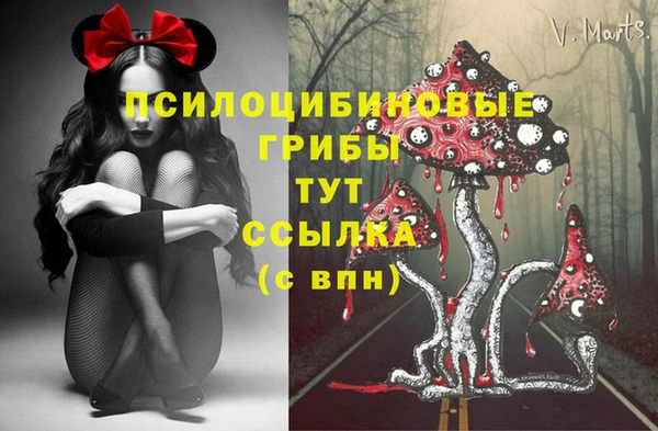 бутират Алзамай
