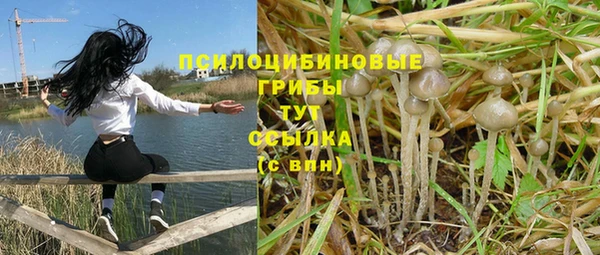 бутират Алзамай