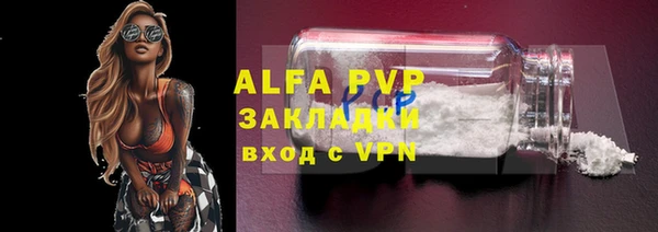 стаф Алексин