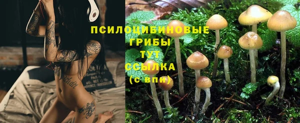 стаф Алексин