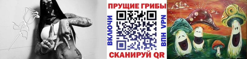 наркота  Советский  Псилоцибиновые грибы мухоморы 